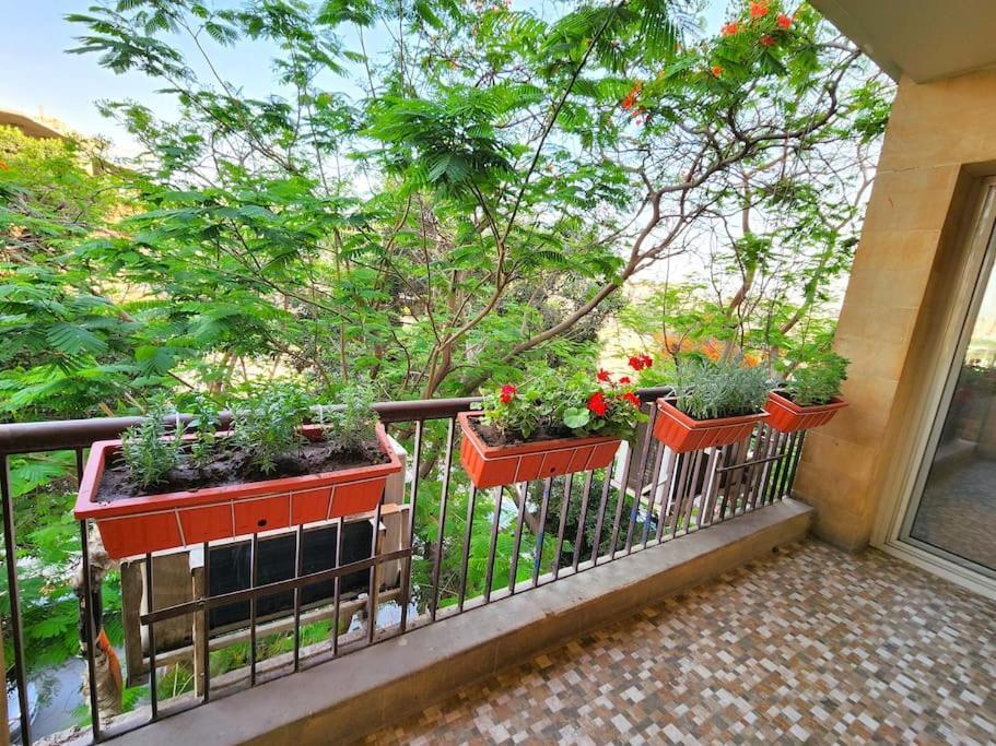 Beautiful In Maadi Apartment *