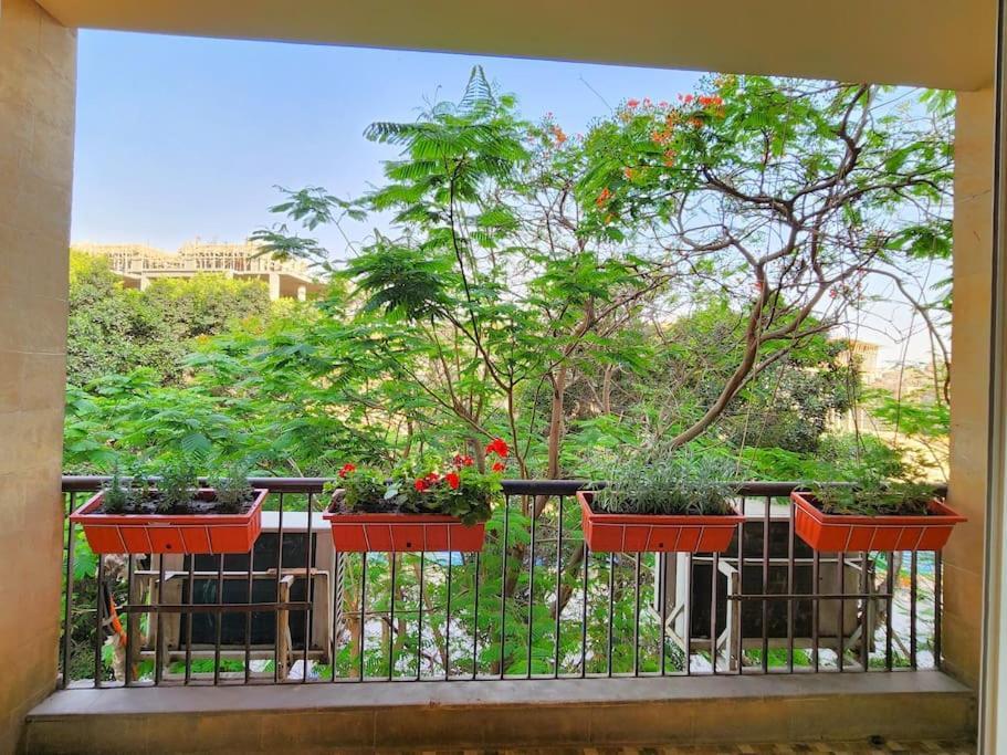 Appartement Beautiful In Maadi *